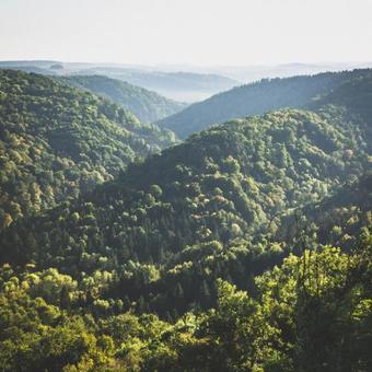 Posada Gasthof Speneder