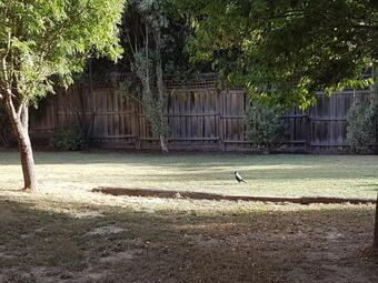 Blackwood Cobb And Co Accommodation