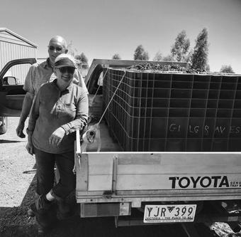 Agroturismo Gilgraves Vineyard Farmstay