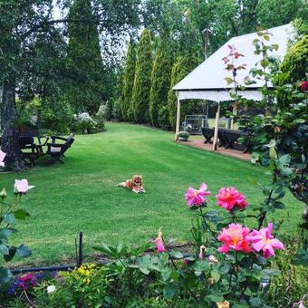 Bed & Breakfast Dingup House