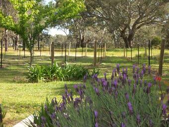 Agroturismo The Apartment - Moyston