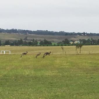 Hostal Tranquil Vale Vineyard