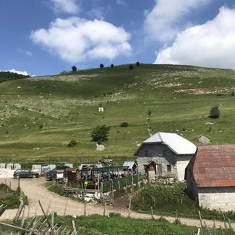 Hostal Guesthouse Letnja Basta