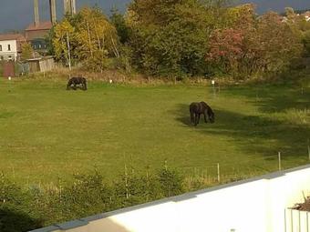 Apartm�ny Pod Lesem