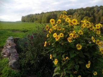 Apartamentos U T�tovy L�py