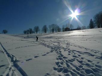 Lodge Chalupa Na Bucharu