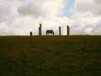 Apartamento Ferienwohnung Am Skulpturenweg