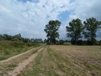 Ferienhaus Villa Apfelbaum