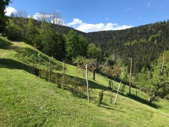 Agroturismo The Moosbach Garden