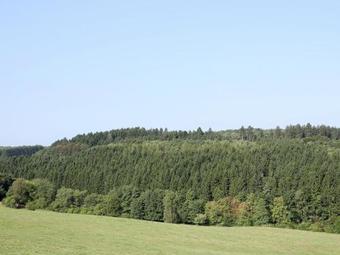 Spacious Apartment In Pracht Near Forest