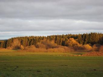 Apartamento Ferienwohnung Am Ried