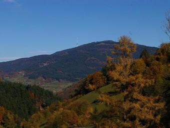 Apartamento Haus Anna