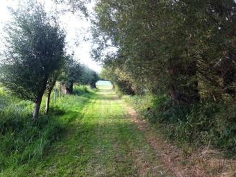 Vintage Mansion Near Lake In Warnow