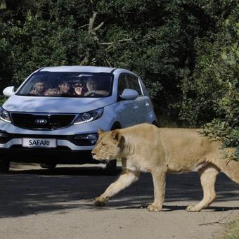 Danhostel Givskud Zoo