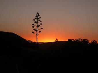 Agroturismo Casa Cueva El Molino