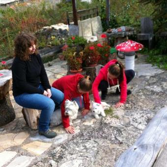 Apartamento Casas Rurales Chon Alto Tajo