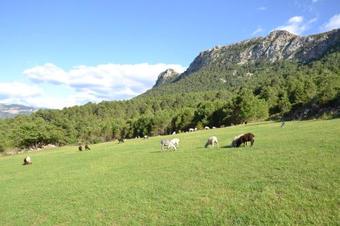 Agroturismo Casa Carlota
