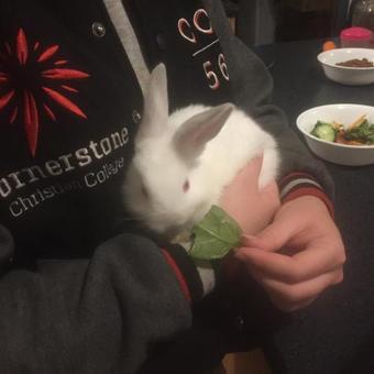 Agroturismo Kerriley Park Farmstay