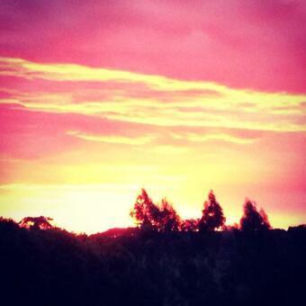 Bed & Breakfast Black Duck Farm