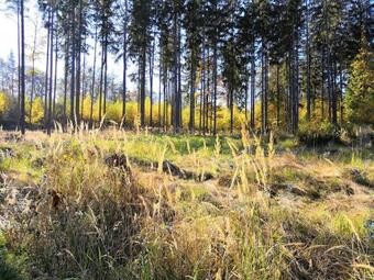 Hotel Resort Vyhl�dka ?lovice