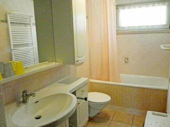 Apartment Pusteblume