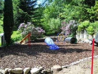 Hotel G�stehaus Falkenau Urlaub Mit Hund