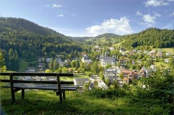 Apartamento Ferienwohnung Waldblick - [#92986]
