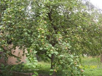 Hostal Landgasthaus Zur Eiche