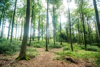 Thalhauser M�hle Hotel-restaurant