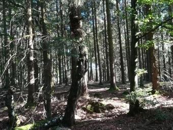 Beautiful Holiday Home In Kleinlangenfeld Near Town Center