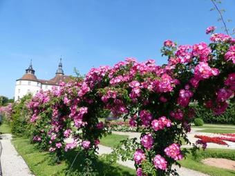 Apartment Barockgarten