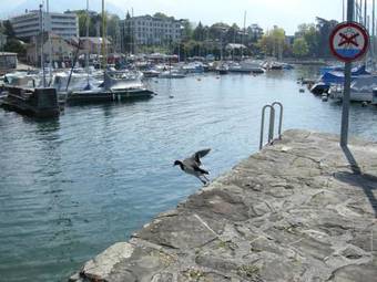 Hotel De La Vieille Tour