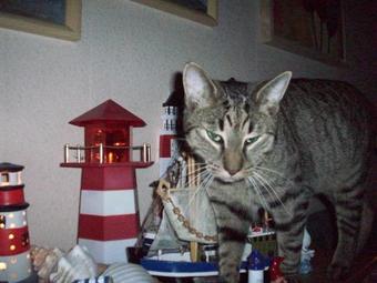 Apartamento Ferienwohnung-hahner