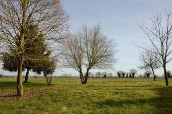Agroturismo La Cour Du Bois