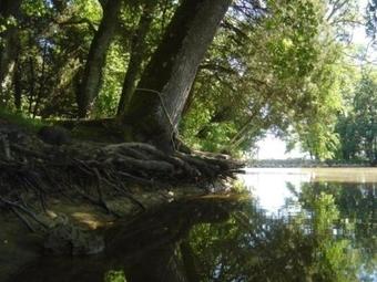 House Domaine De Millet