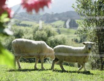 Somersal Bed & Breakfast