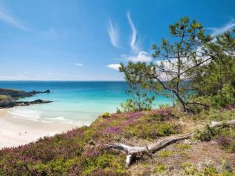 Holiday Home Cassiop�e (tgm103)