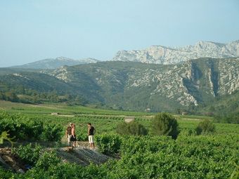 Domaine Vents Du Sud