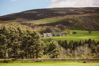 Ash Cottage