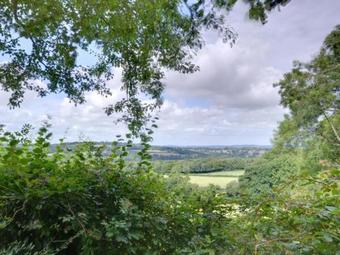 Cozy Holiday Home In Robertsbridge Kent Amidst Forest