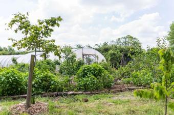 The Holford Arms Chalets And Glamping