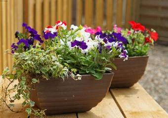 Apartamento Ffermdy'r Groes