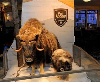 Apartamento Ski Lodge T�nndalen