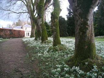 Hostal Gardenvale Manor House B&B