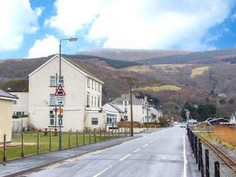 Seagulls, Fairbourne
