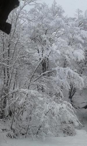 Hotel Guest House Nima