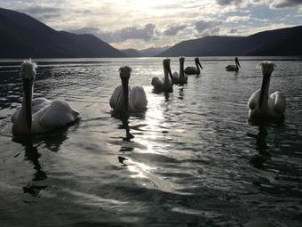 Hostal Agios Achillios