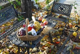 Hostal Guesthouse Petrino