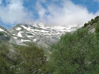 Apartamento Xenonas Kypseli