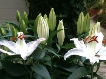 Hostal Anerada Inn Boutique Hotel